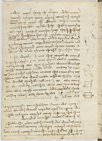 Código sobre el vuelo de los pájaros, c. 1505-06, manuscrito en papel, cc. 18, hoja 14 verso de Leonardo da Vinci